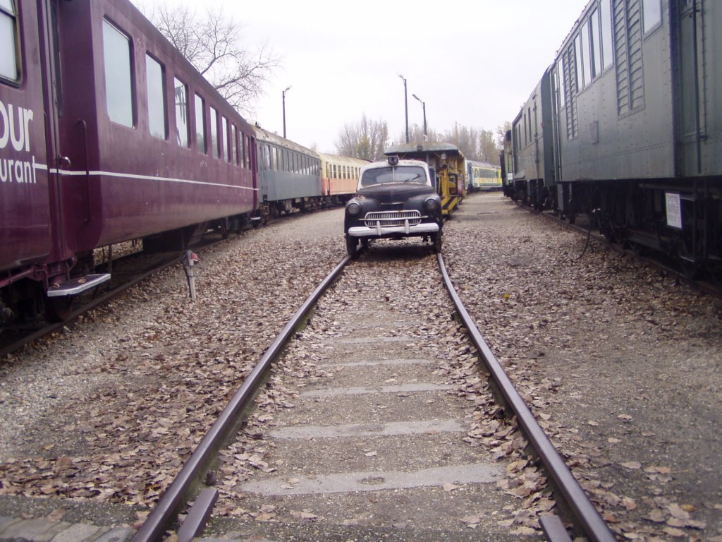 pa290030.jpg