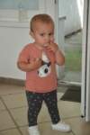 m230603e1729a0_small.jpg
