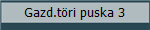 Gazd.t�ri puska 3