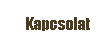 Kapcsolat