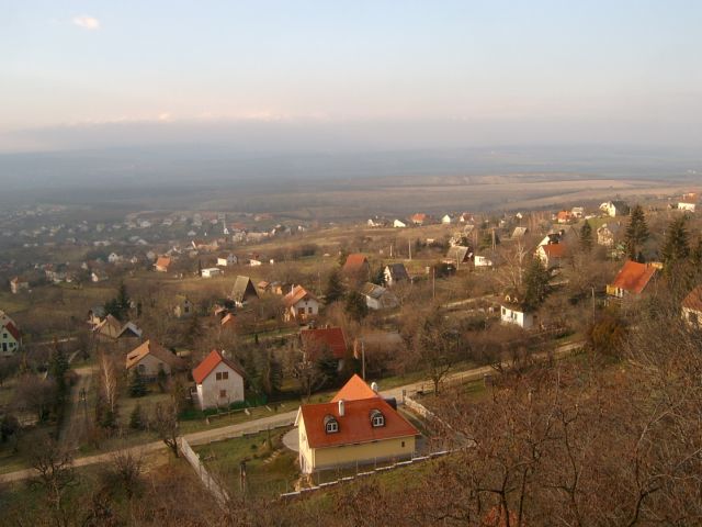 618x457 pixels (59K)