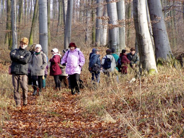 618x457 pixels (116K)