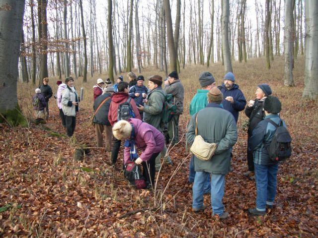 618x457 pixels (135K)