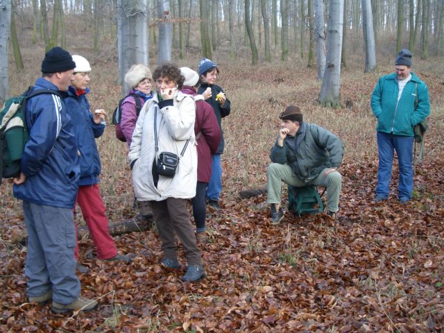 618x457 pixels (127K)