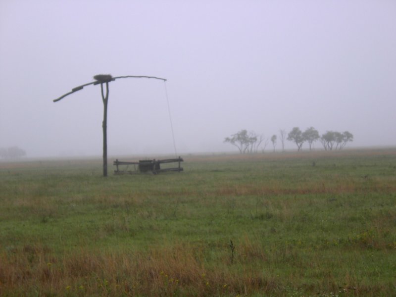 dvavnyarhely.jpg