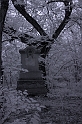 cinkotai temet 10