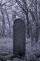 cinkotai temet 4