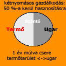 K�tnyom�sos Gazd�lkod�s