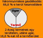 H�romnyom�sos gazd�lkod�s