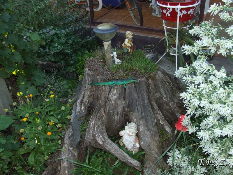 DSCF2488.JPG