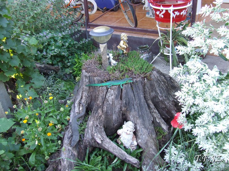 DSCF2489.JPG