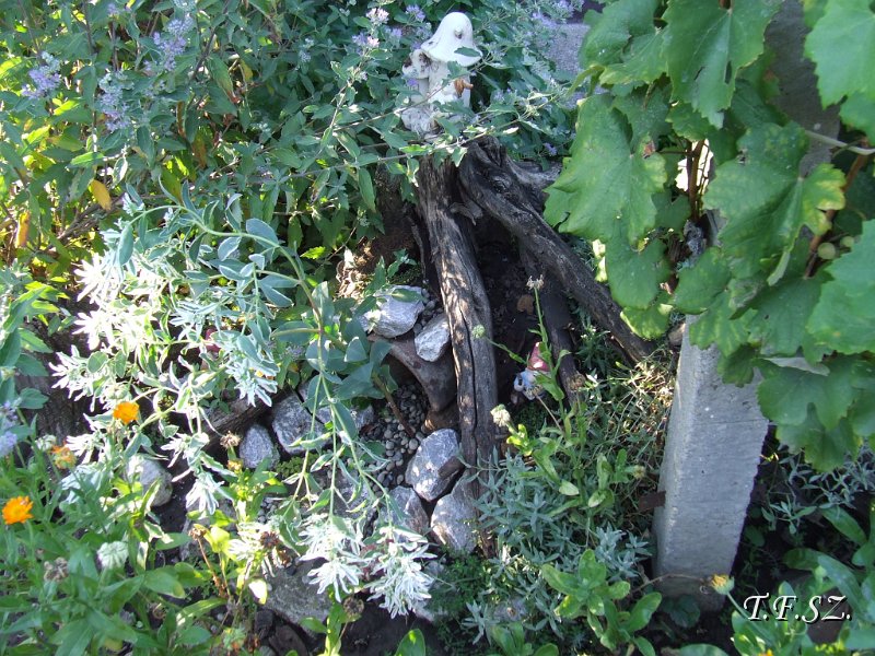 DSCF2491.JPG