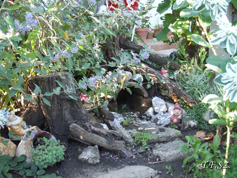 DSCF2492.JPG