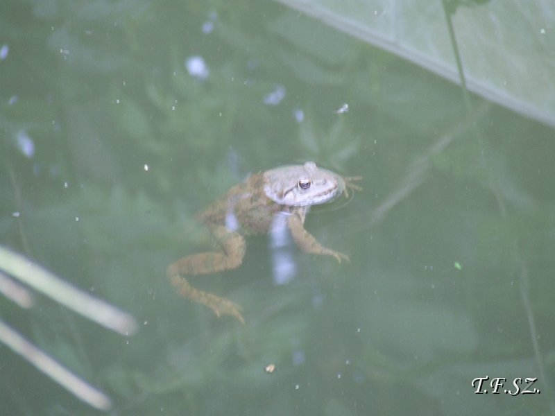 DSCF2503.JPG