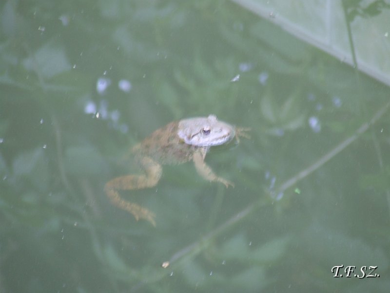 DSCF2504.JPG