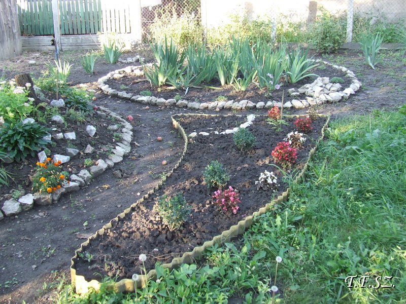 DSCF2508.JPG