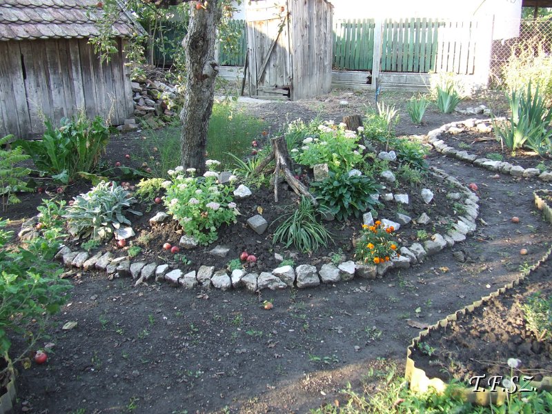 DSCF2509.JPG