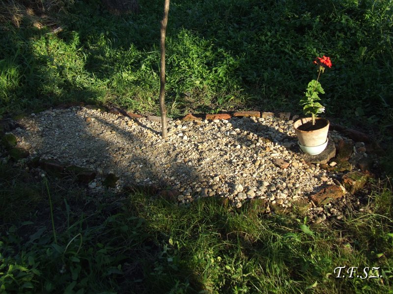DSCF2510.JPG