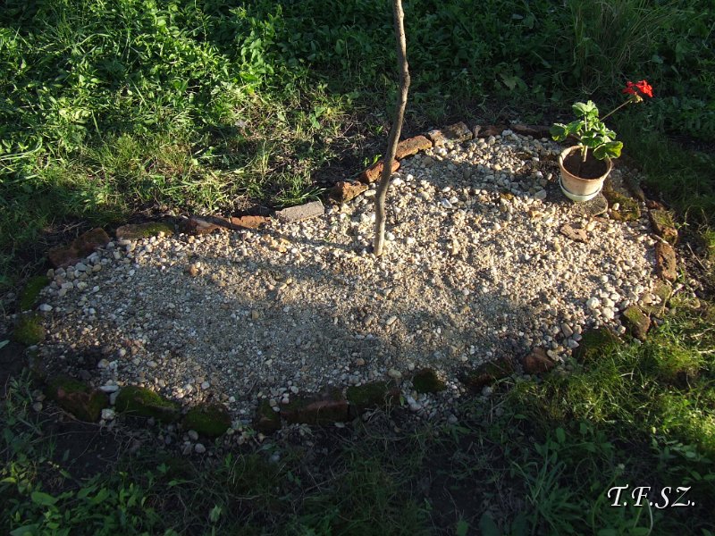 DSCF2511.JPG