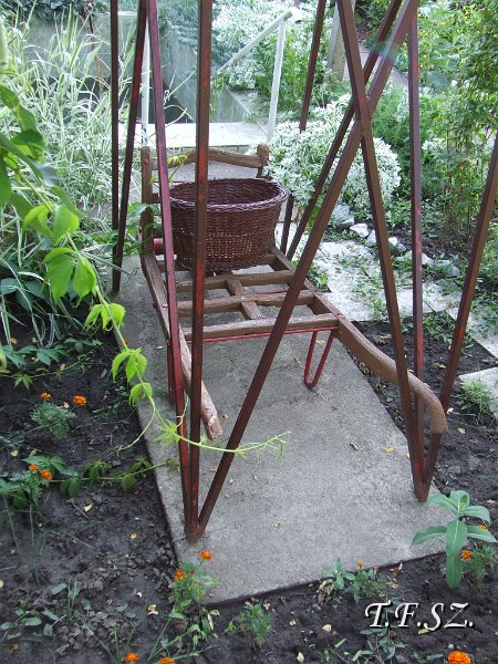 DSCF2512.JPG