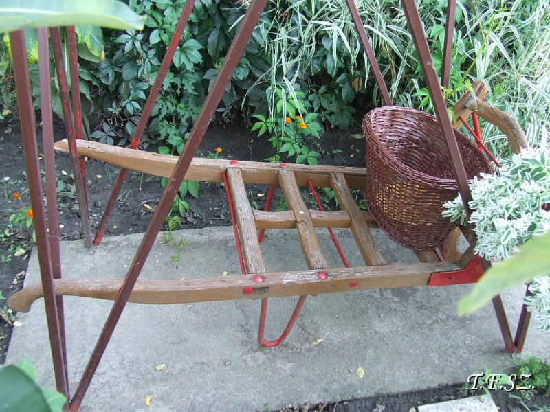 DSCF2513.JPG