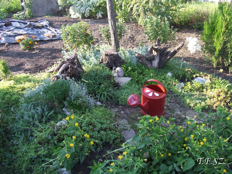 DSCF2515.JPG