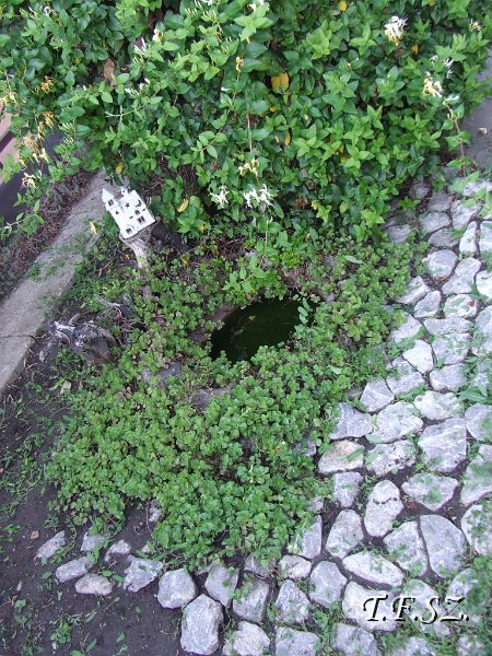 DSCF2518.JPG