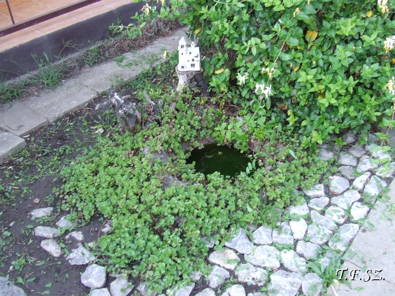 DSCF2519.JPG
