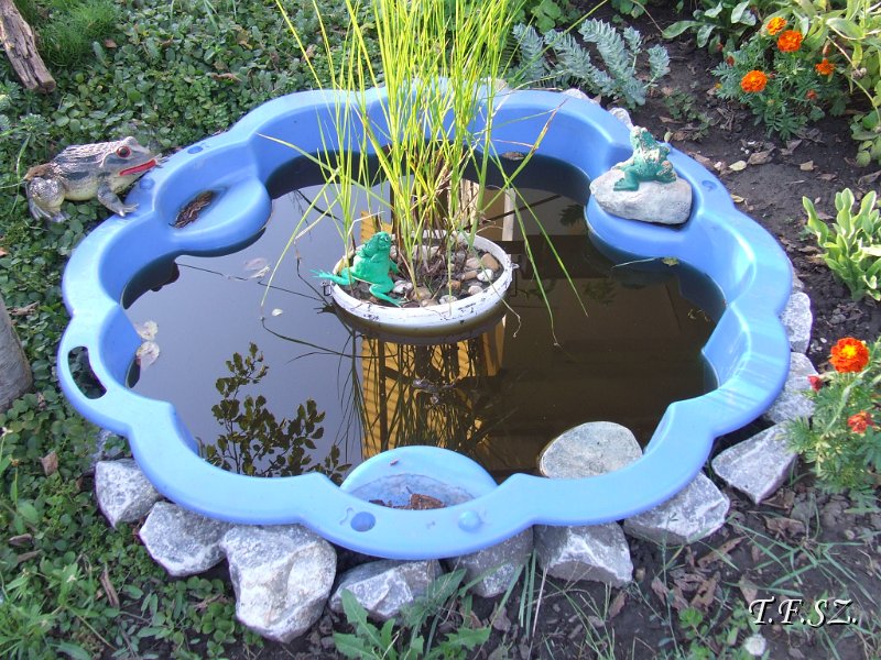 DSCF2522.JPG