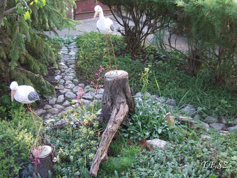 DSCF2527.JPG