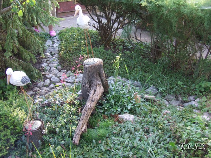 DSCF2528.JPG