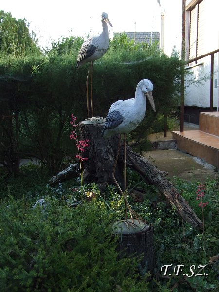 DSCF2530.JPG