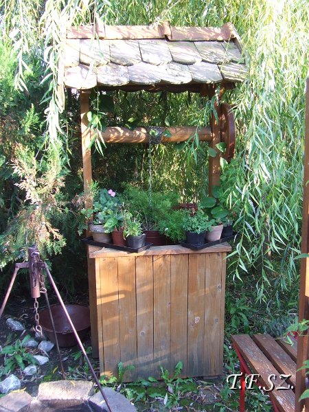 DSCF2532.JPG