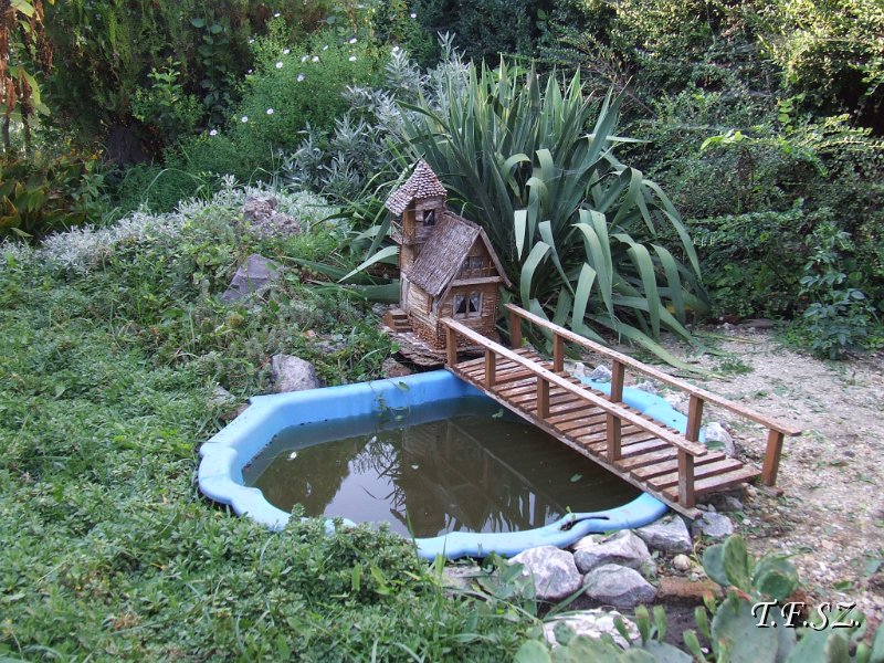 DSCF2534.JPG