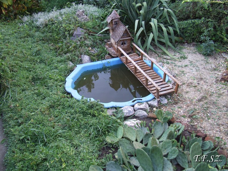 DSCF2539.JPG