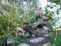DSCF2493