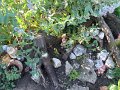 DSCF2496