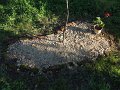 DSCF2511