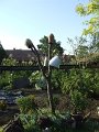 DSCF2514