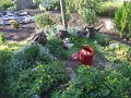 DSCF2515