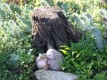 DSCF2516