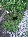 DSCF2518