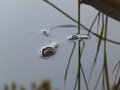 DSCF2526