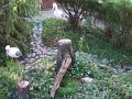 DSCF2527