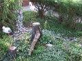 DSCF2528