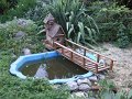 DSCF2535
