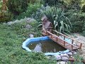 DSCF2536