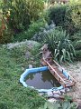 DSCF2537