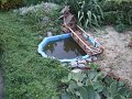 DSCF2539