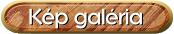 Kp Galria